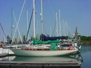 satchi2