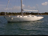 Silverpetrel